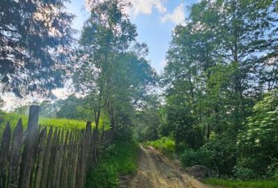 TEREN DE VANZARE APROAPE DE PADURE - 2