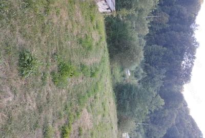 Teren de 9800 mp, în Pietrari - 4