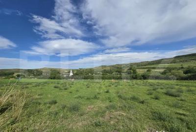 Teren de 2431 mp, în Chinteni