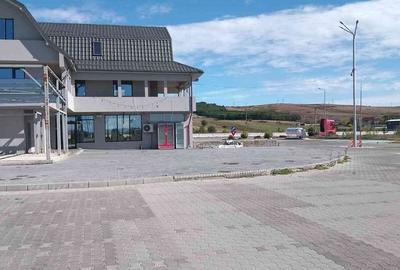 Spațiu comercial, de 10,000 mp, în Brădești - 4