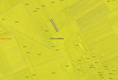 Teren agricol extravilan de 2.0889999866486 mp, în Salcia Tudor - 3