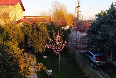 VILĂ DEOSEBITĂ PE MALUL LACULUI – MOGOȘOAIA | 1000 MP CURTE | PONTON 3 - 9