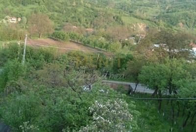 Teren Construcții intravilan de 5000 mp, în Drajna de Jos - 2