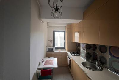 Proprietar inchiriez garsoniera grozavesti linga regie rezidence - 6