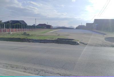 Teren de 5000 mp, în Podu Roș - 4