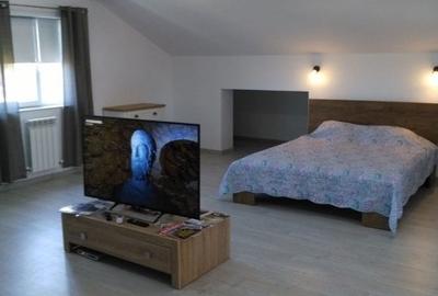 Vila P+1+M - zona Elvila - 6 camere - 2.500 euro/luna (Cod E1) - 8