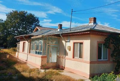 Casa de vinzare 1 Decembrie Ilfov - 1