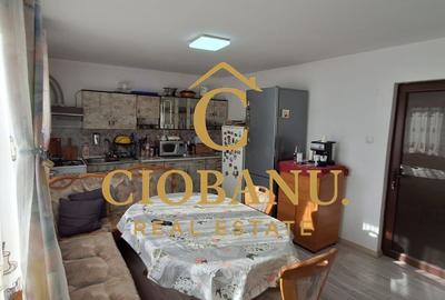 Casa de vanzare zona Campia Islaz - 14