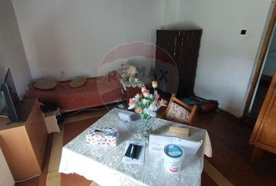 Casa de vanzare in stil vechi cu 3 camere si 3 arii in Cop. Manastur - 3