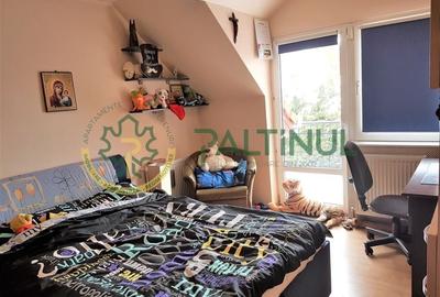 Vila Șelimbăr - 700 mp teren, jacuzzi, semineu, front stradal 30 ml - 18