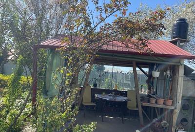 Teren Construcții intravilan de 1700 mp, în Vădeni - 2