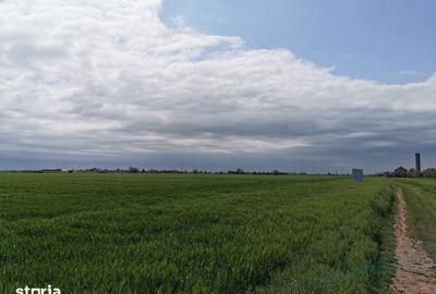 Teren de 50000 mp, în Central - 1