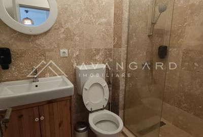 | Duplex Europa | 213 mp | 262 mp teren | Potential Investitional | - 8