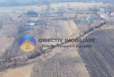 Teren Construcții intravilan de 10515 mp, în Bodești - 4