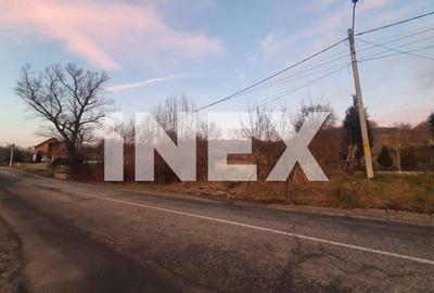 Teren intravilan 5.000 mp de vanzare - Curtea de Arges, Capul Dealului - 4