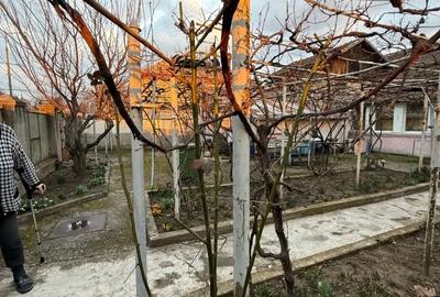 Casă în Complex Studențesc - 4