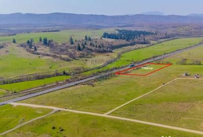 Teren de 7786 mp, în Vlădeni - 1