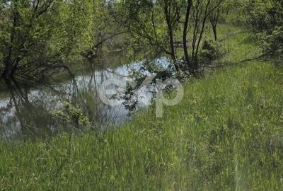 Teren de 3015 mp, în Moșoaia - 7