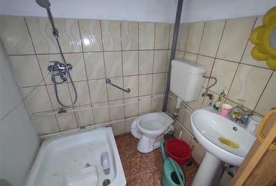 Vanzare casa batraneasca si teren, Colentina - 14