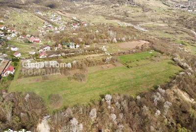 Teren de 23345 mp, în Cornu