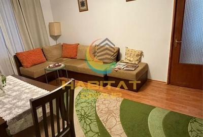 Apartament cu 2 camere semidecomandat, mobilat în Tei - 3
