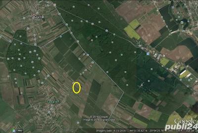 Teren de 30000 mp, în Săbăreni - 4