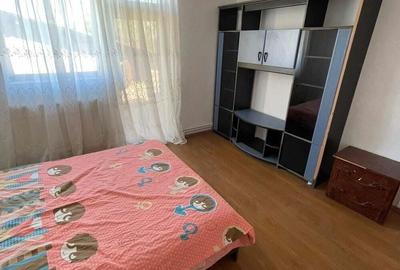 Jilava, Casa, sup. 200 mp.6 cam,3 bai. Resedinta Firma, - 14