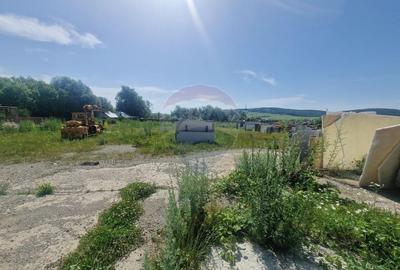 Spațiu industrial, de 290 mp, în Almaș - 17