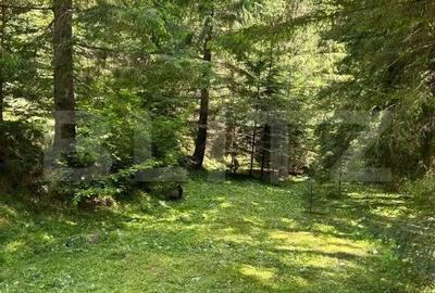 Cabana cu 4 camere, zona ?ugag - Tau Bistra - 5