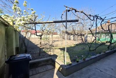Casă cu 6 camere cu Teren 2095 Mp în Nădlac - 15