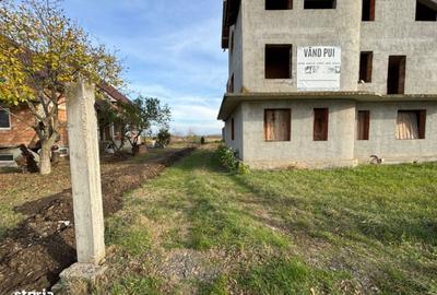 Casă cu 3 camere în Zimandu Nou - 10