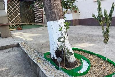 Casă cu 1 camere cu Teren 150 Mp în Piața Veche - 9