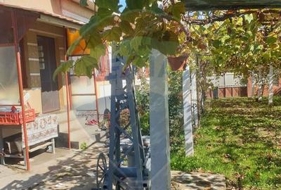 Casă cu 3 camere cu Teren 1000 Mp în Negoi