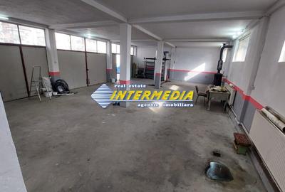 Spațiu industrial, de 115 mp, în Cetate - 5