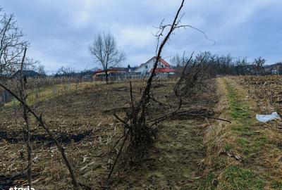 Spațiu comercial, în Măgura - 14