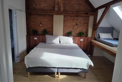 Apartament modern de inchiriat  zona Bartolomeu, la curte, complet renovat - 4