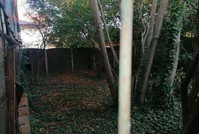Casa Individuala zona Dambovita peste 450 Mp Teren - 3