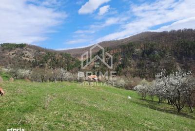 Teren de 13700 mp, în Vințu de Jos - 1