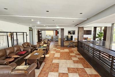 Cladire D+P+2Et, ideala birouri, clinica, reprezentanta -Grigorescu Cladire D+P+2Et, ideala birouri, clinica, reprezentanta -Grigorescu - 2