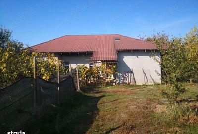 Casă cu 4 camere cu Teren 2700 Mp în Peciu Nou