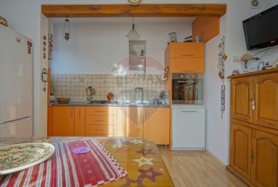 CASA DE INCHIRAT |  MIHAI VITEAZUL |  PANOURI SOLARE | COMISION 0 % ! - 8