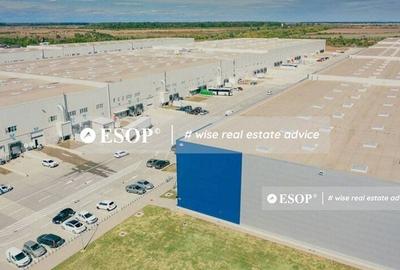 Spațiu comercial, de 2,300 mp, în Mogoșoaia - 2