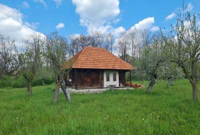 Domeniu Pensiune Transfagarasan 20855 Domeniu Pensiune Transfagarasan 20855 - 2