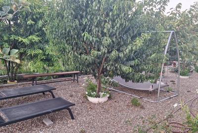 VILA UNICAT ULTRALUX P+1 +CASA CU TEREN 1412MP ZONA PALAZU MARE - 19