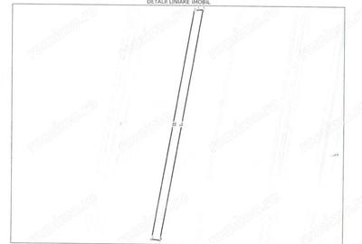 Teren de 15000 mp, în Bucovăț - 3