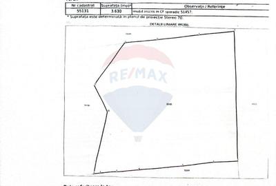 Teren de 49000 mp, în Borca - 14