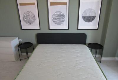 Sun Lake Residence, inchiriere 2 camere, vedere lac, bloc NOU, prima inchiriere - 10