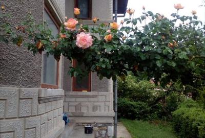 Casă cu 4 camere în Gureni - 12