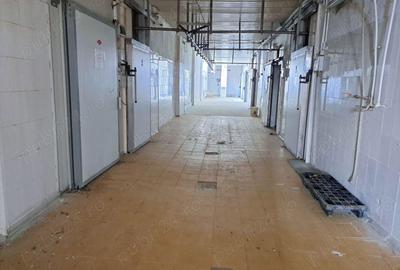 Inchiriez spatii depozitare DE LA 200 euro luna intr-un fost abator in localitatea Carani - 1