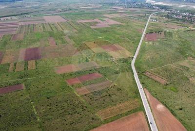 Teren de 33000 mp, în Bolotești - 5